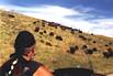 A Brave Soul with Buffalo Custer State Park