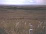 Where the Men Fell, 7th Cav. US Army